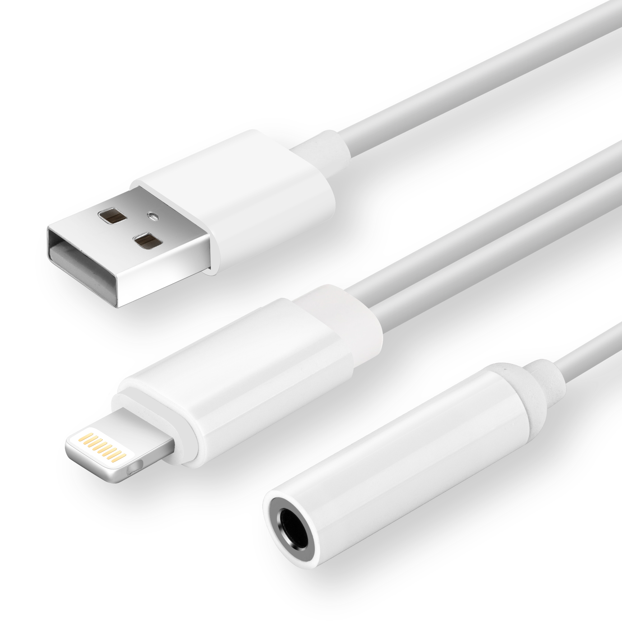 Liquid detected in usb c connector iphone